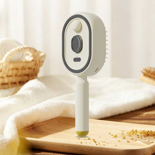 Steam Hair Straightener Brush | Salon-Smooth Hair at Home | Free Delivery UAE | Farah Shop
